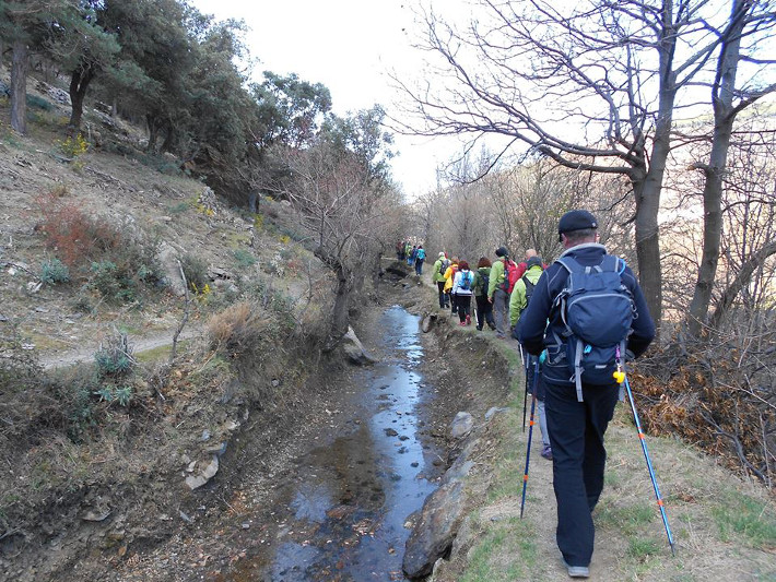 Más de medio centenar de senderistas de Almuñécar recorriendo La Alpujarra granadina